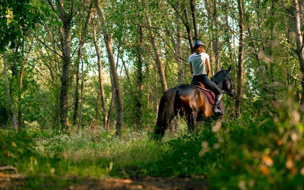 Sports à Luchon : Cheval
