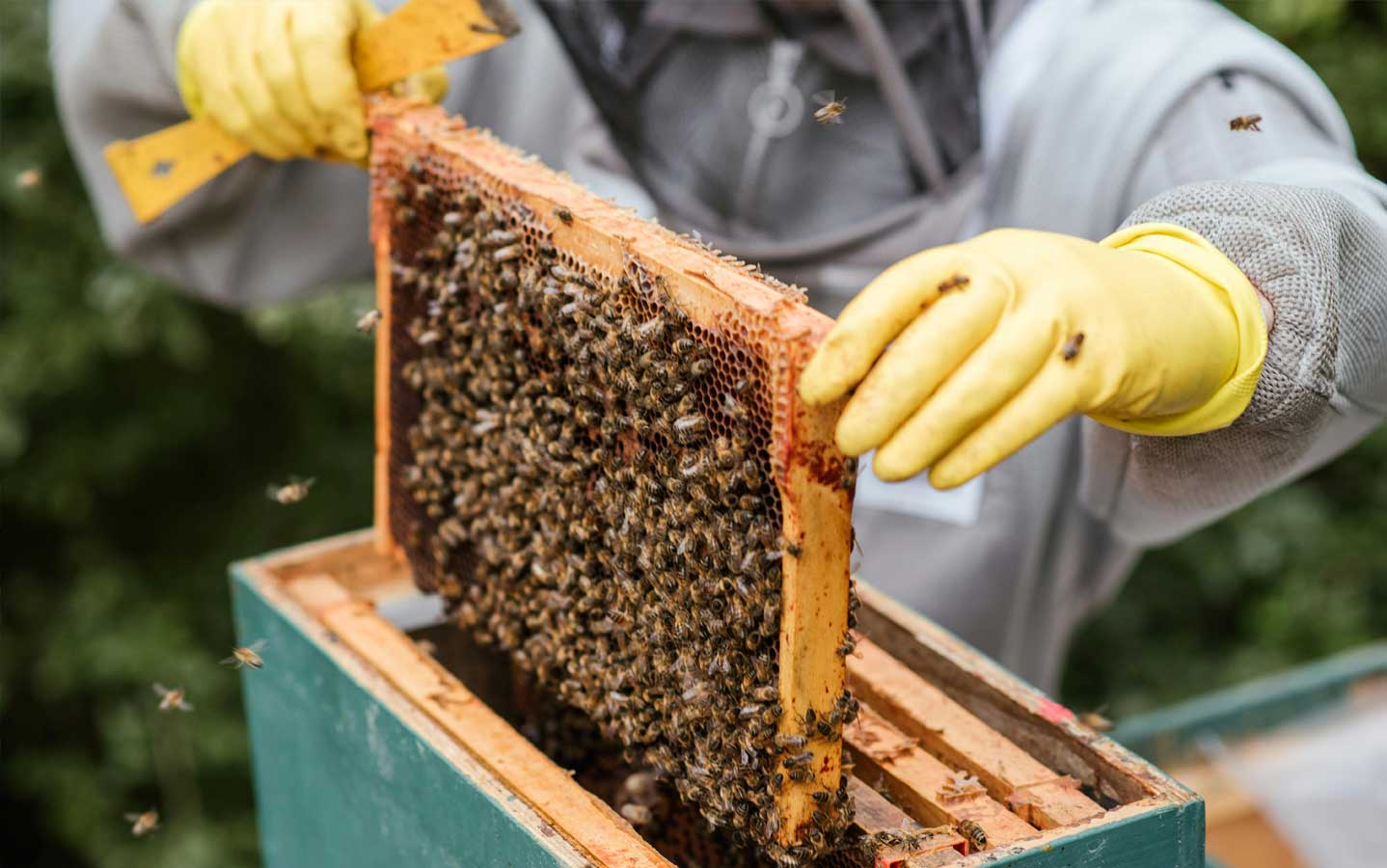 Que faire à Luchon ? Les artisans