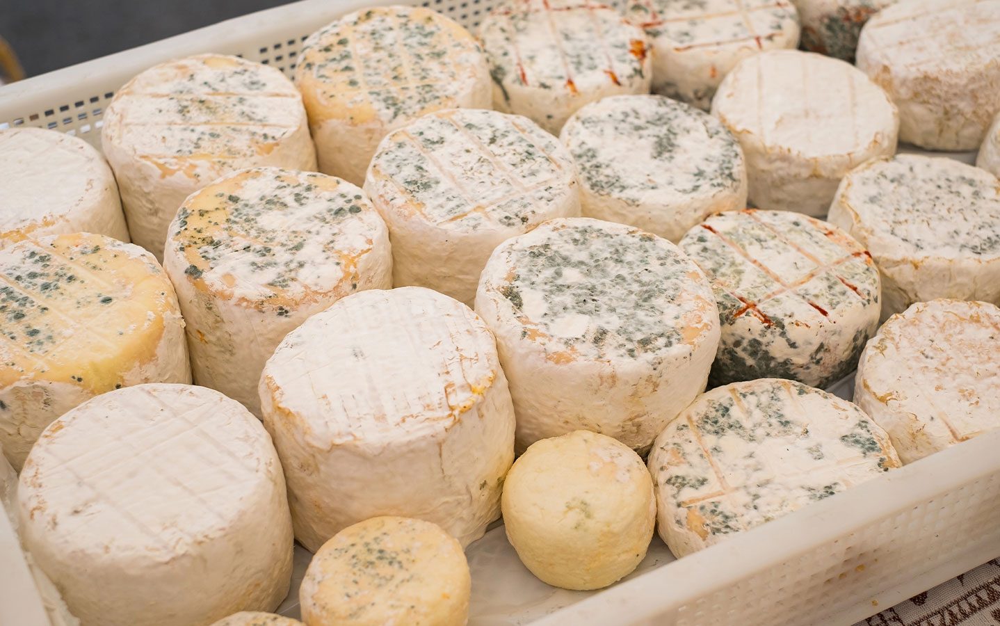Fromages de chèvre